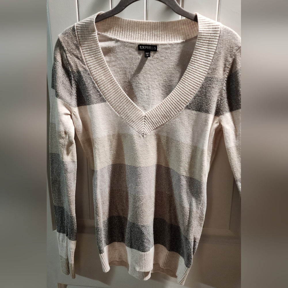 Express V-neck sweater